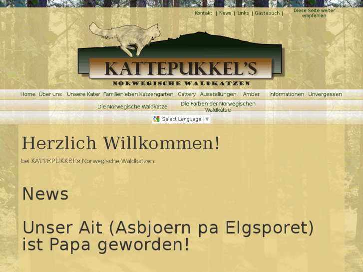 www.kattepukkel.de