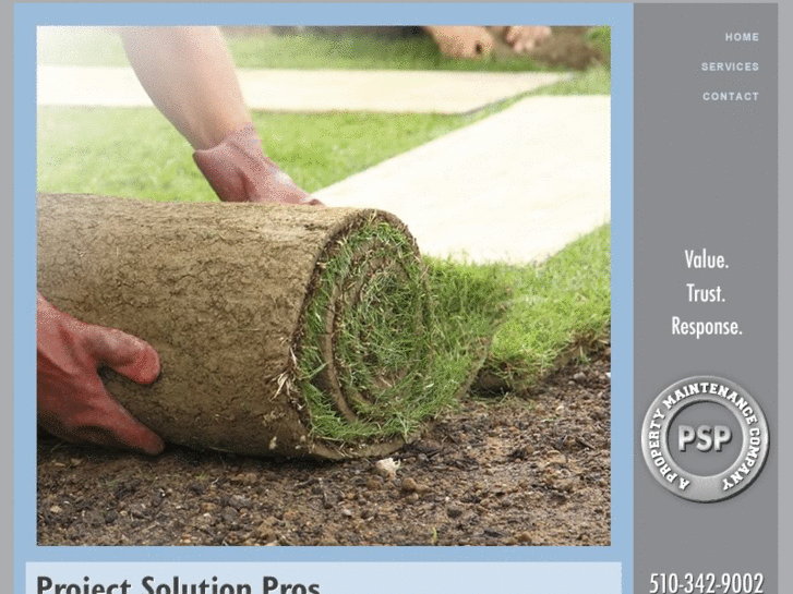 www.projectsolutionpros.com