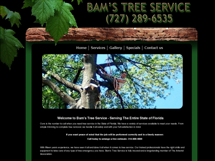 www.bamstreeservice.com