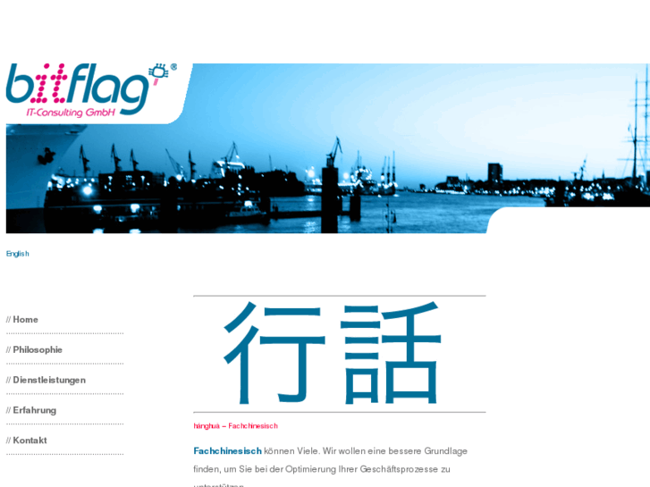 www.bitflag-it.com