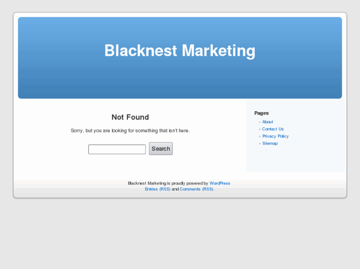 www.blacknest-marketing.com