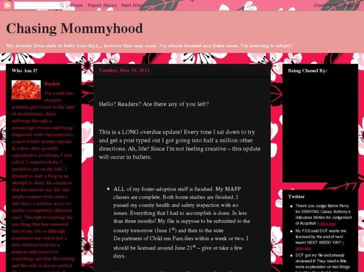 www.chasingmommyhood.com