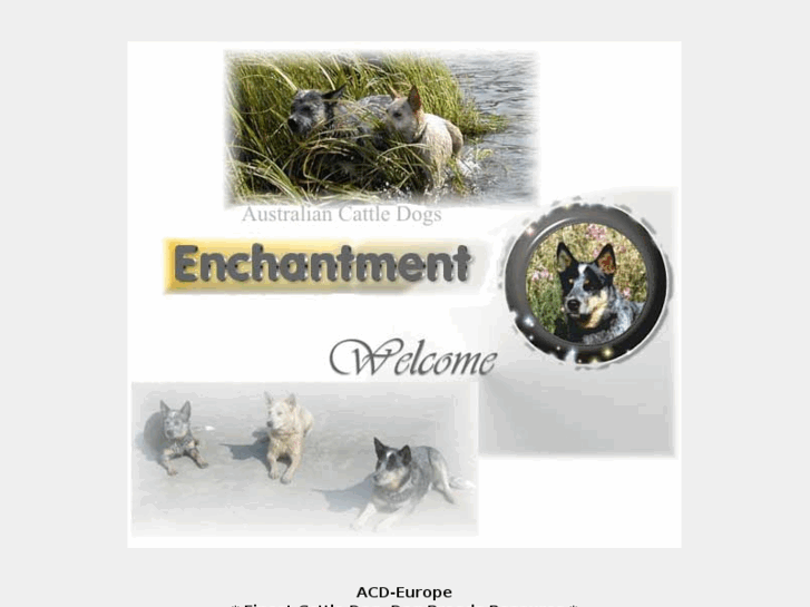 www.enchantments.de