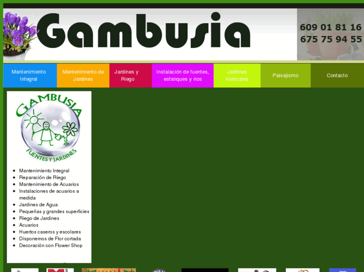 www.gambusia.es