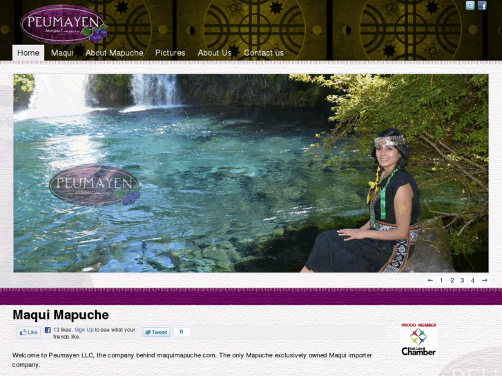 www.maquimapuche.com