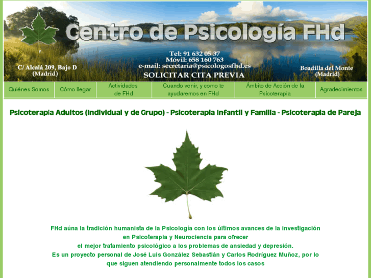 www.psicologosfhd.es