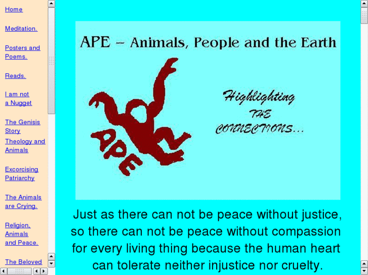 www.ape-connections.org