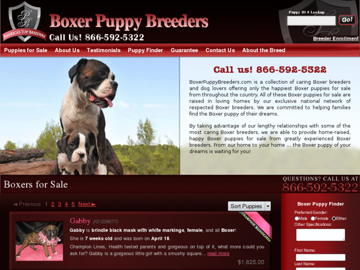 www.boxerpuppybreeders.com