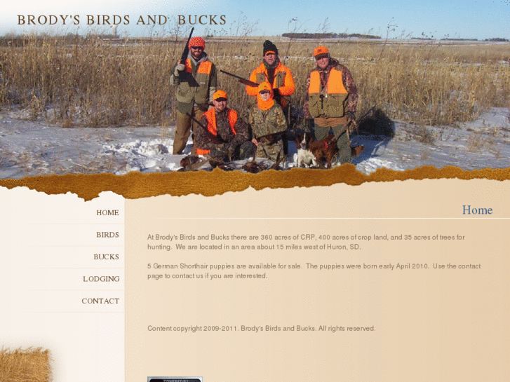 www.brodysbirdsandbucks.com