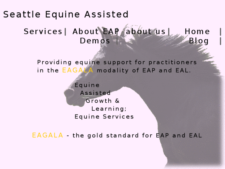 www.seattleequineassisted.com