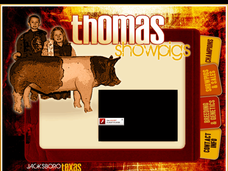 www.thomasshowpigs.com