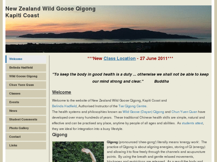 www.wildgooseqigong.org.nz