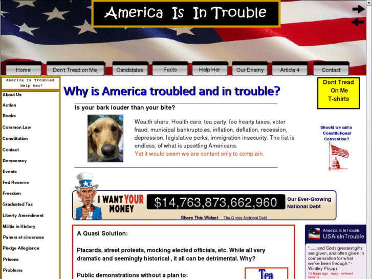 www.americaisintrouble.com