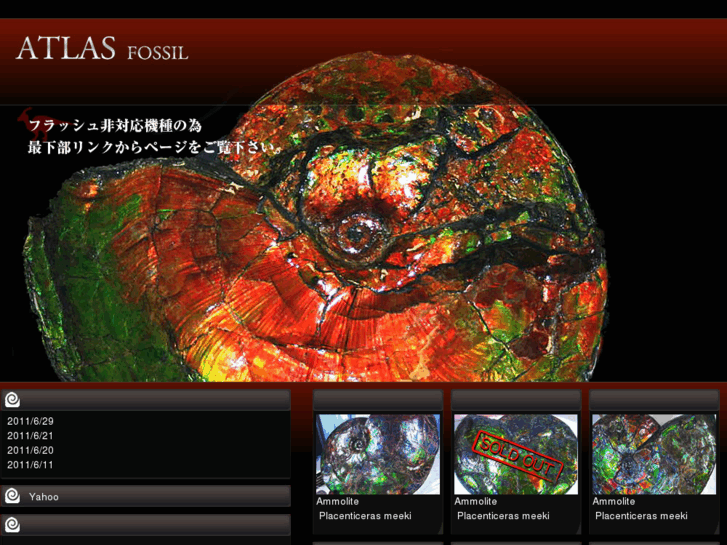 www.atlas-fossil.jp