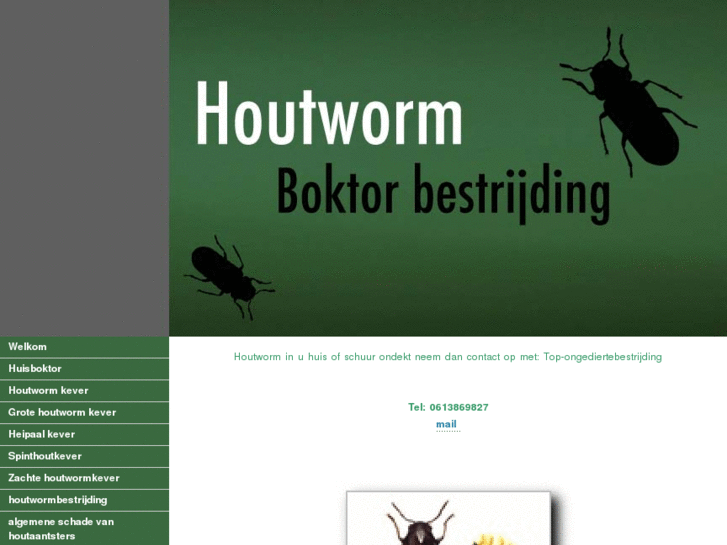 www.houtworm-boktorbestrijding.nl