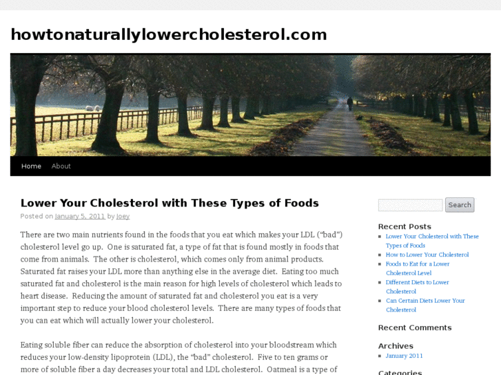 www.howtonaturallylowercholesterol.com