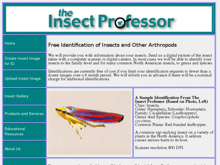 www.insectprofessor.com