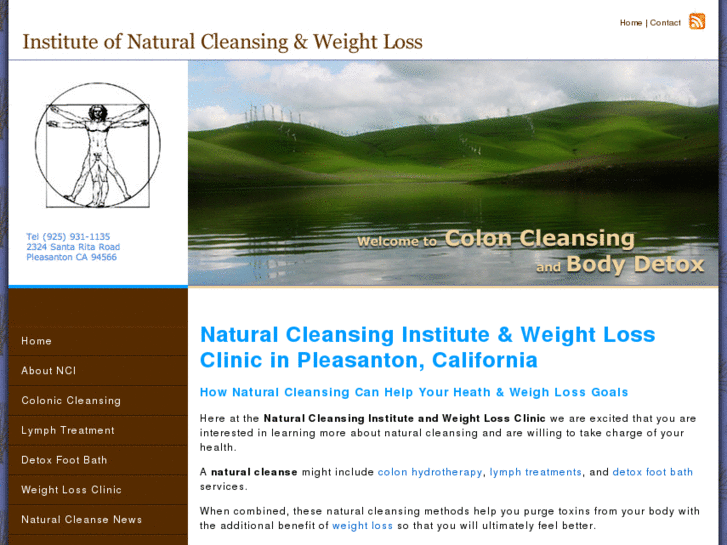 www.naturalcleansinginstitute.com