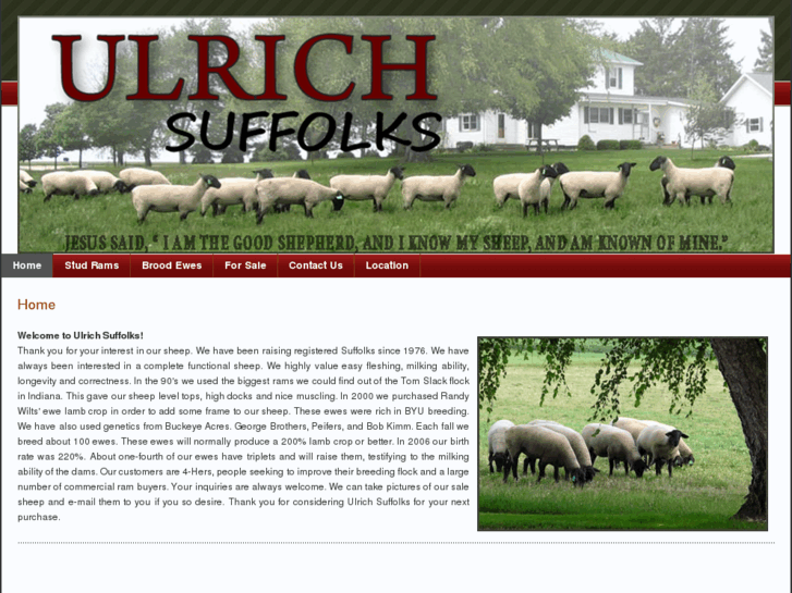 www.ulrichsheep.com