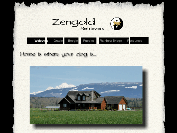 www.zengoldretrievers.com