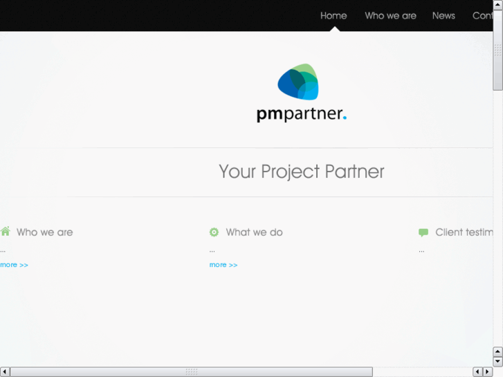 www.pmpartnerinc.com