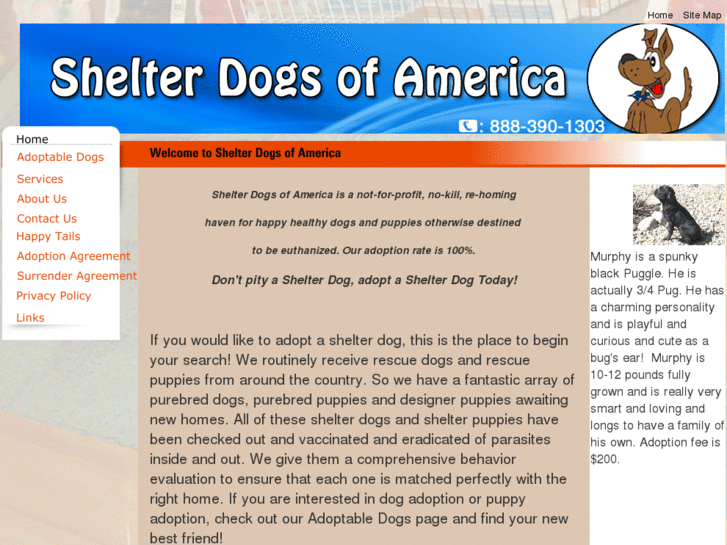 www.shelterdogsofamerica.com