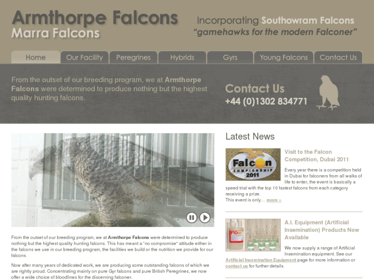 www.armthorpe-falcons.co.uk