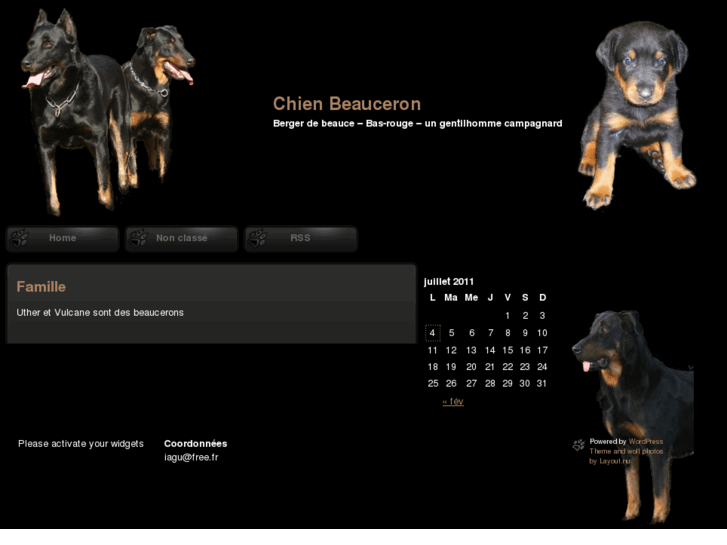 www.chienbeauceron.com