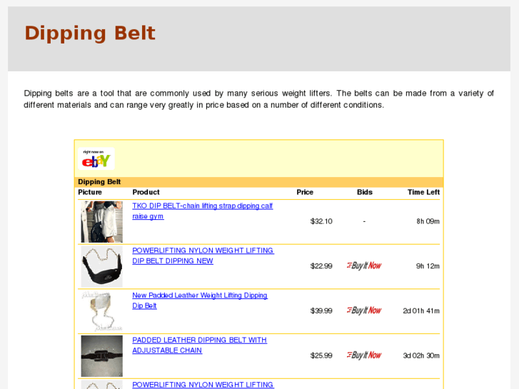 www.dippingbelt.com