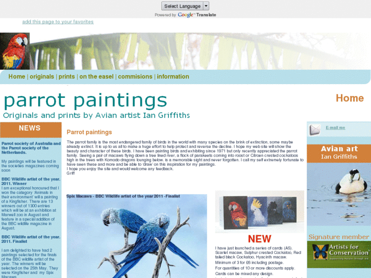 www.parrot-paintings.com