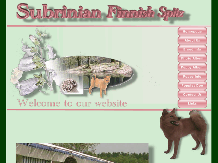 www.subrinian-finnish-spitz.co.uk