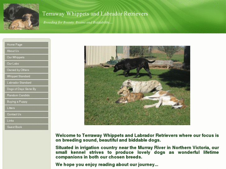 www.terrawaykennels.com