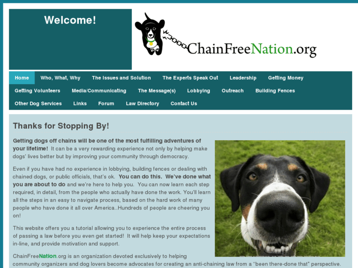 www.chainfreenation.org