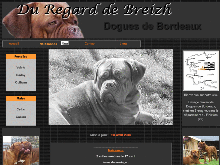 www.du-regard-de-breizh.com