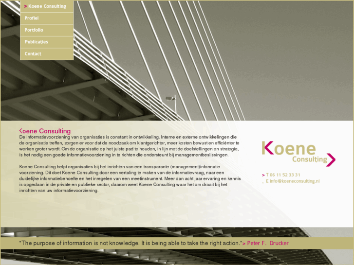 www.koeneconsulting.com