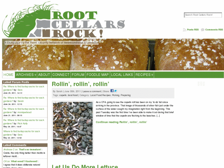 www.rootcellarsrock.ca