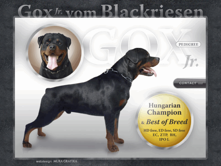 www.vomblackriesenrottweilers.com