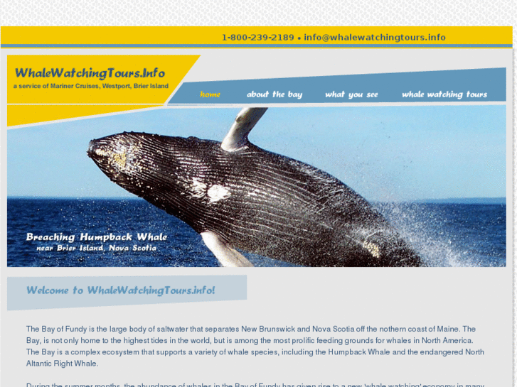 www.whalewatchingtours.info