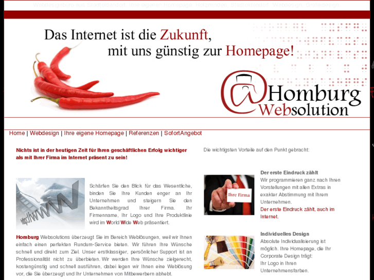 www.homburg-websolution.com