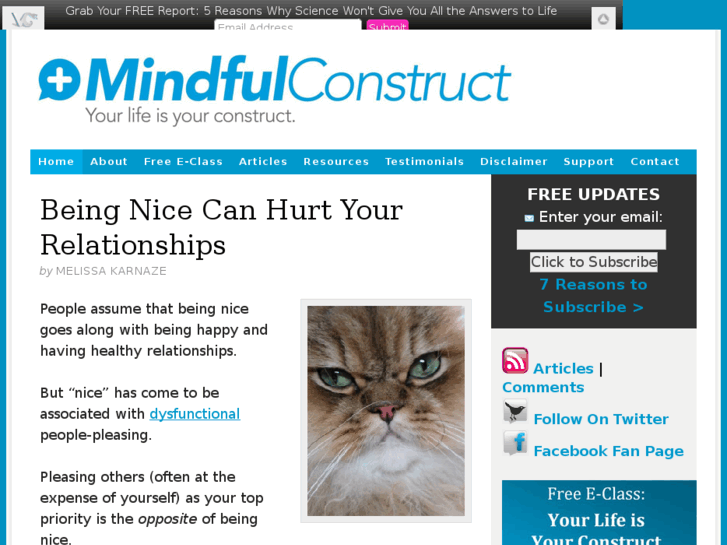 www.mindfulconstruct.com