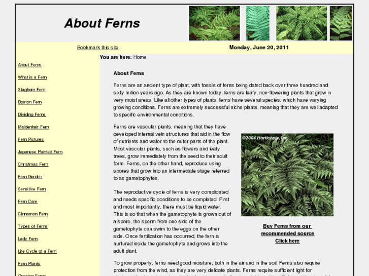 www.aboutferns.com