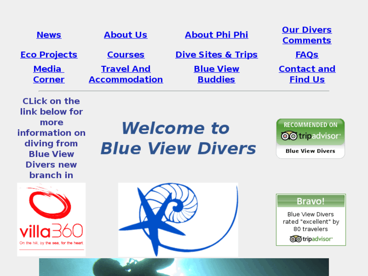 www.blueviewdivers.com