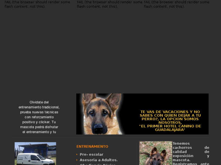 www.dogsport.com.mx