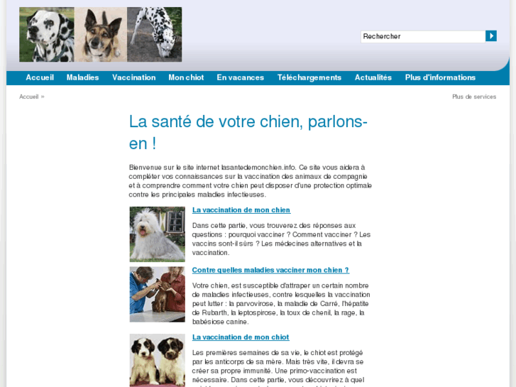 www.lasantedemonchien.info