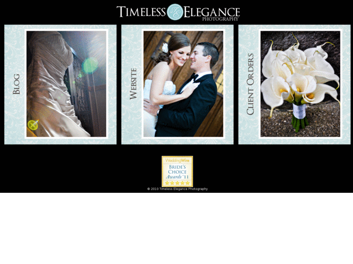 www.timelesselegancephotography.com