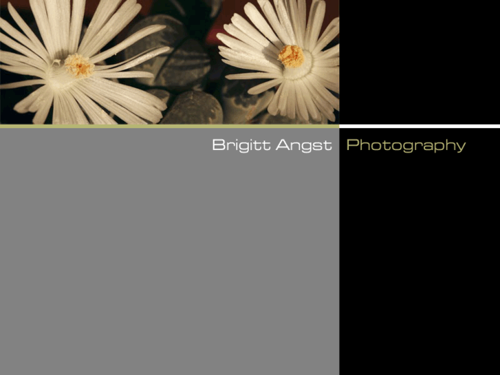 www.brigittangst.com