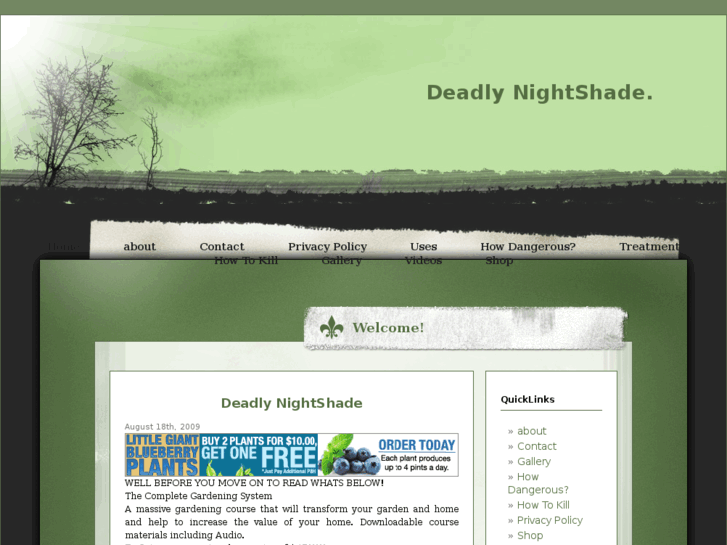 www.deadlynightshadeinfo.com