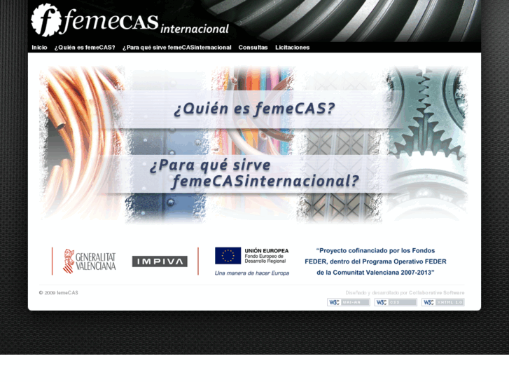 www.femecasinternacional.com