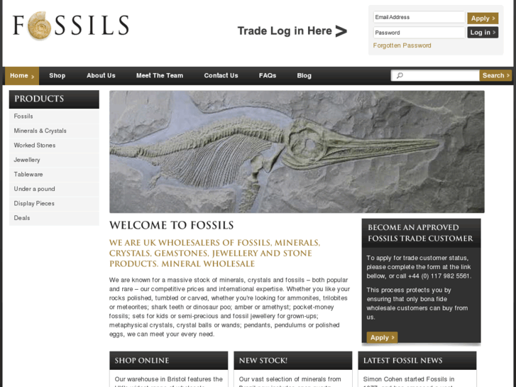www.fossilsandgemstones.com
