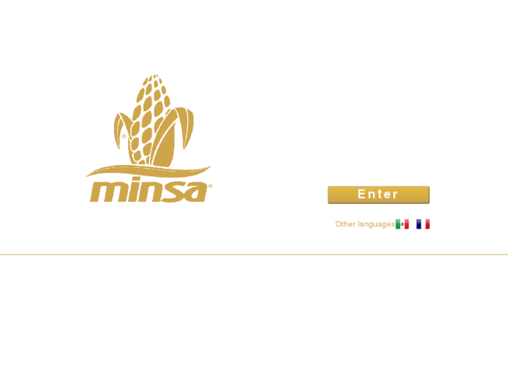 www.minsa.com